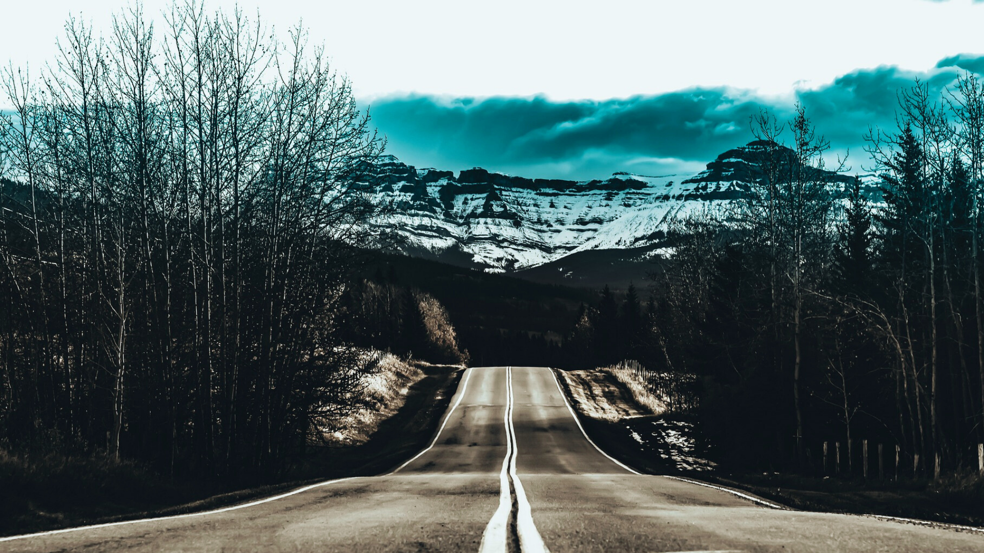 Why Over 200 Companies Are Reconsidering SBTi Commitments in 2025: Signal or Shift?