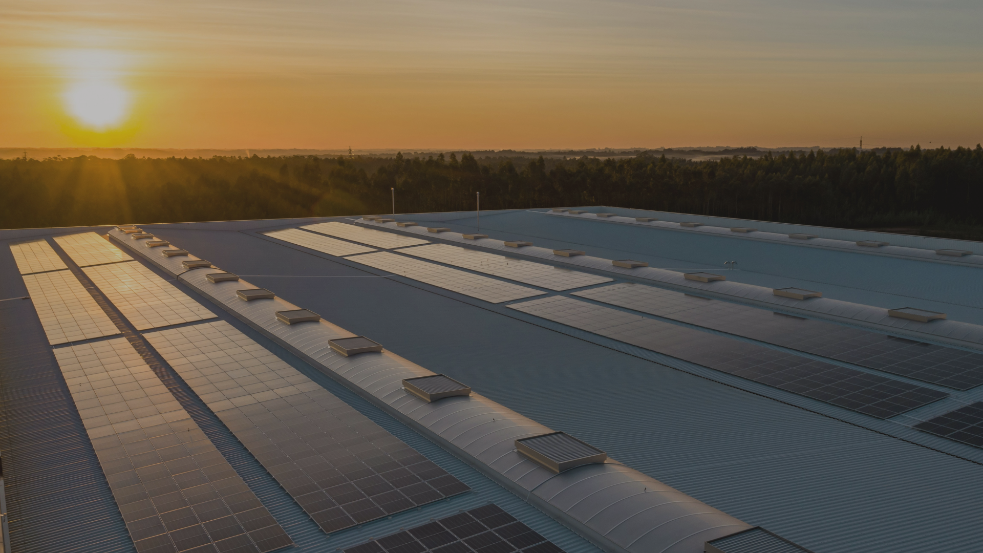 The Renewable Energy Tipping Point: Solar & Wind’s Record-Breaking Momentum