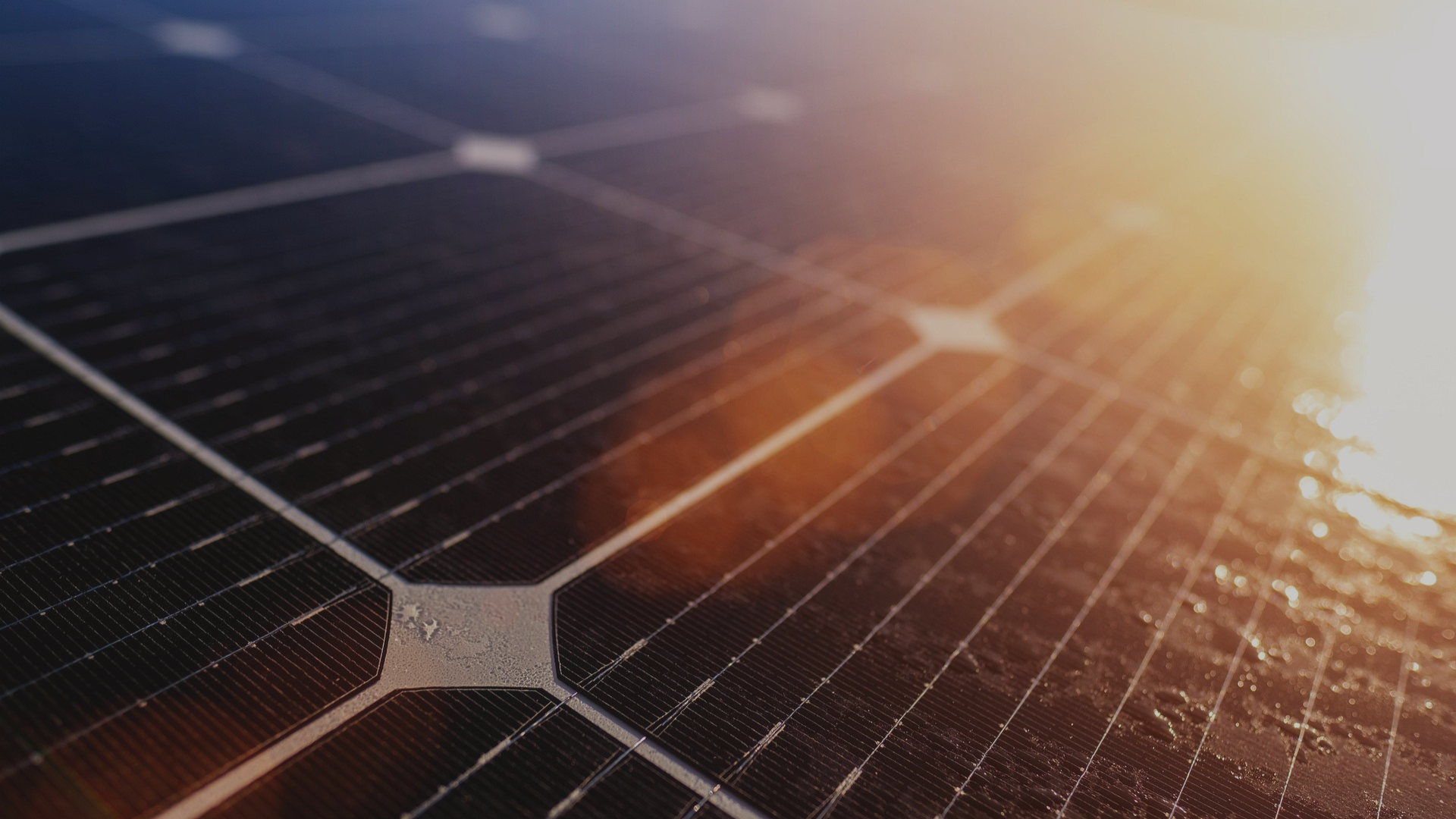 Microgrid Energy Parks: The Future of Distributed Clean Energy