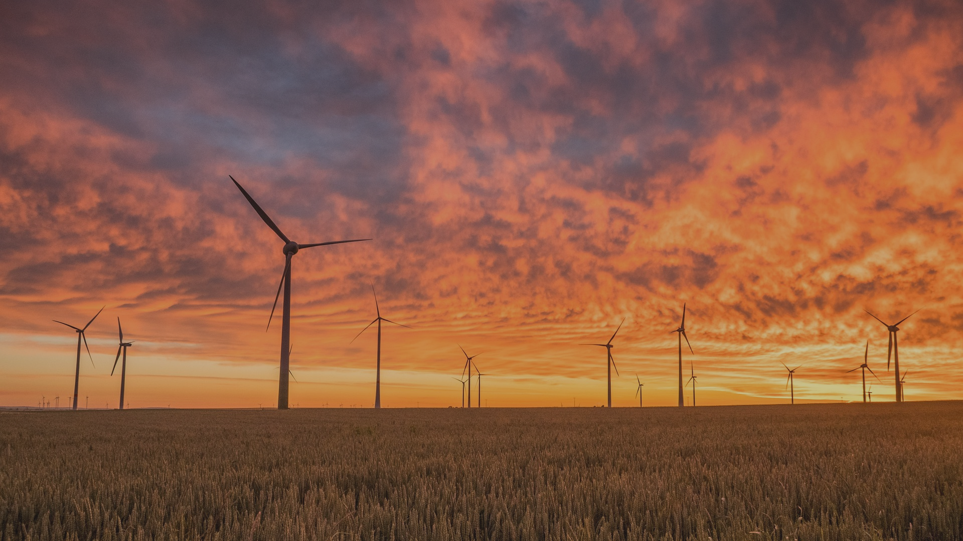 Investment Signals Shift Toward Renewables Amid Falling Costs