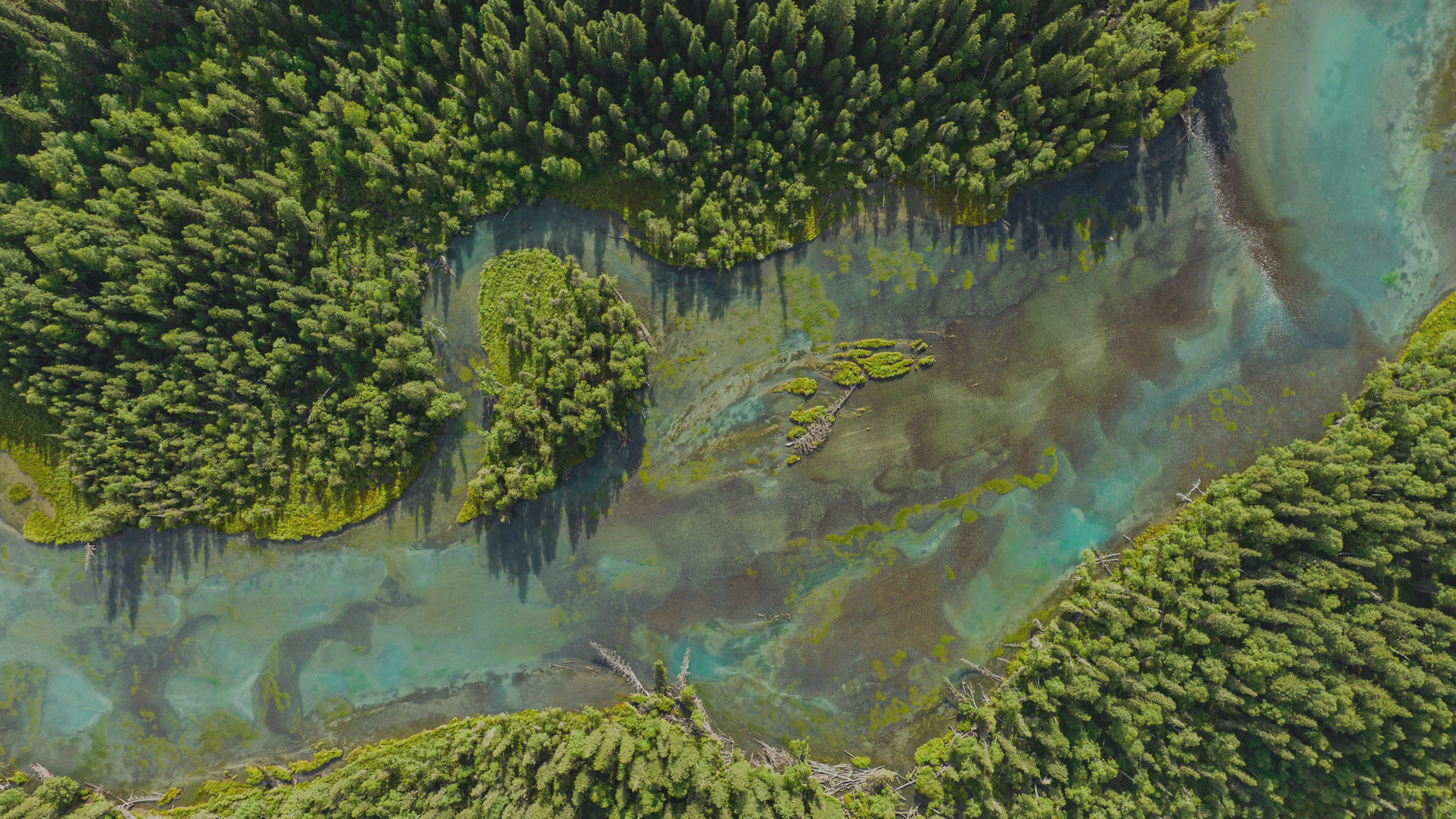 EPA Policy Revisions in 2025: Scope, Stakeholders, and Implications