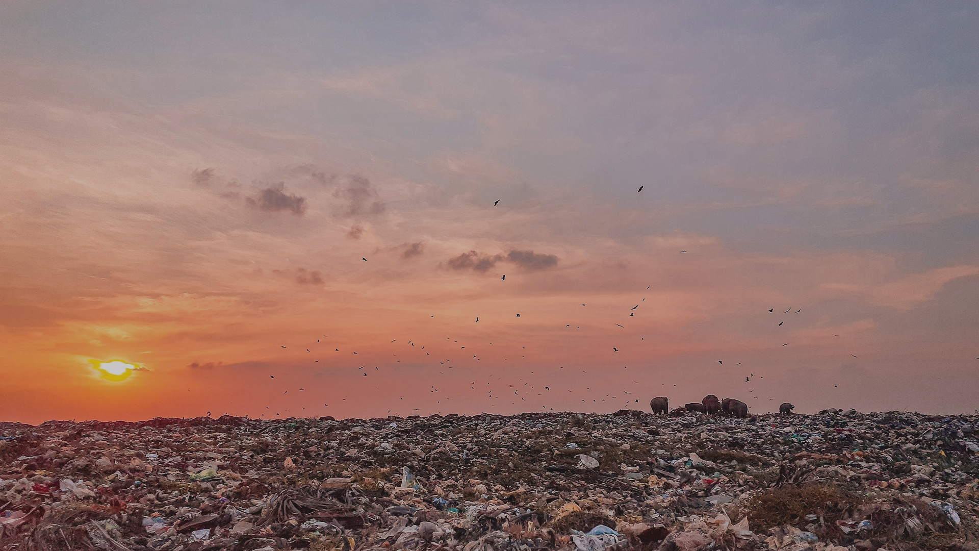 From Waste to Carbon Cuts: What the Plastic Treaty Means for Your Supply Chain