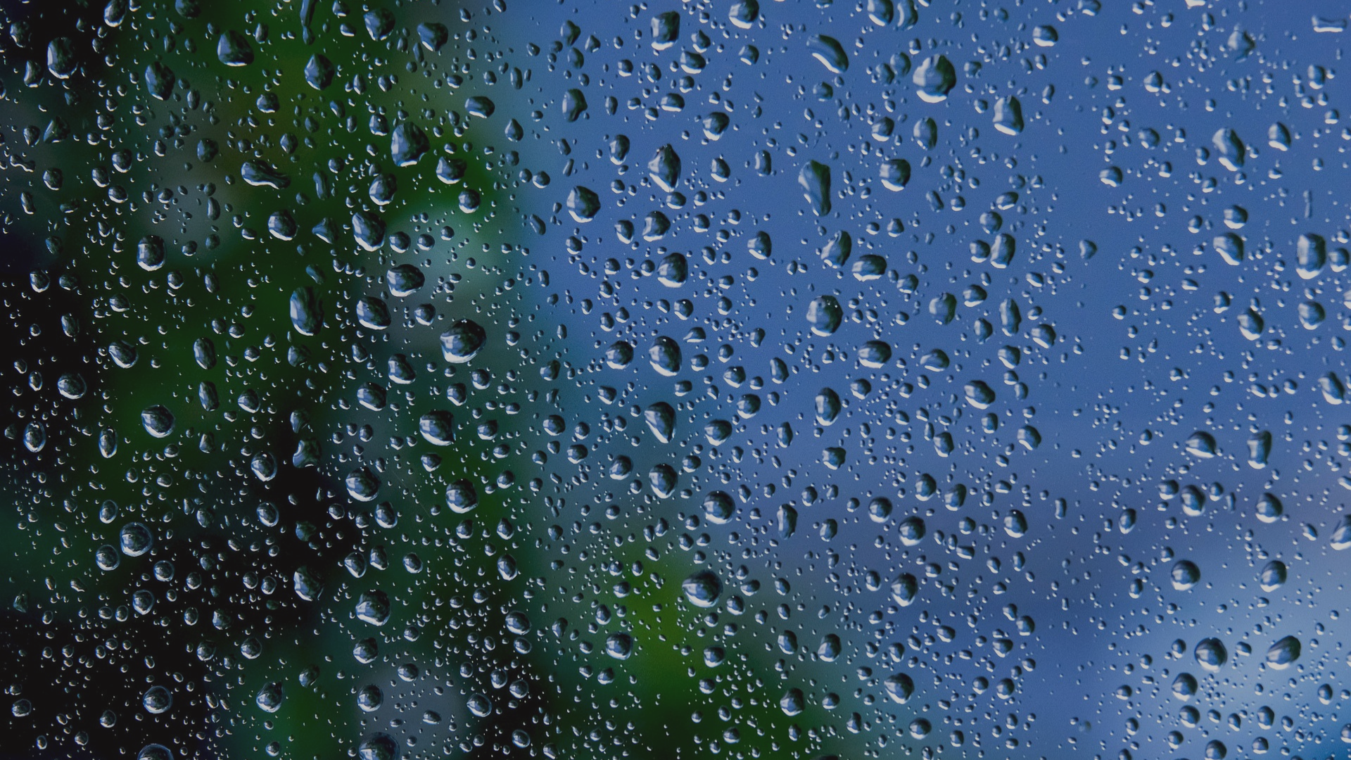 Windows of Opportunity: Policy Incentives Driving Retrofit Adoption