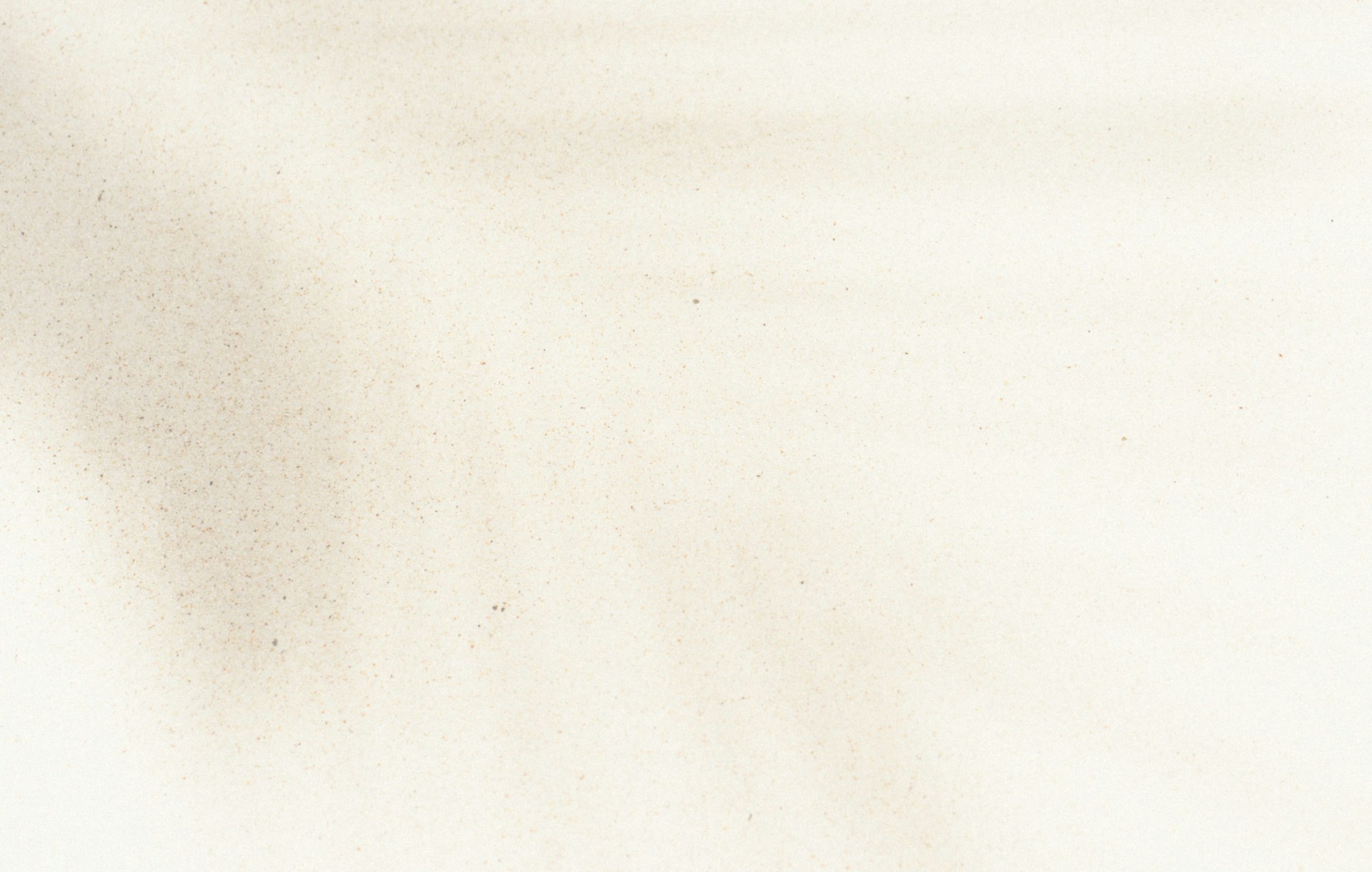 off white background