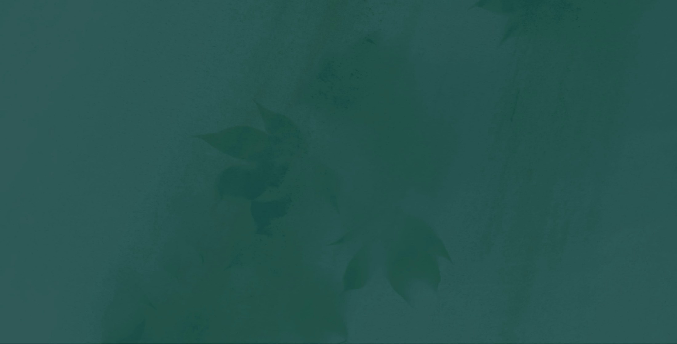 Hero Background Media