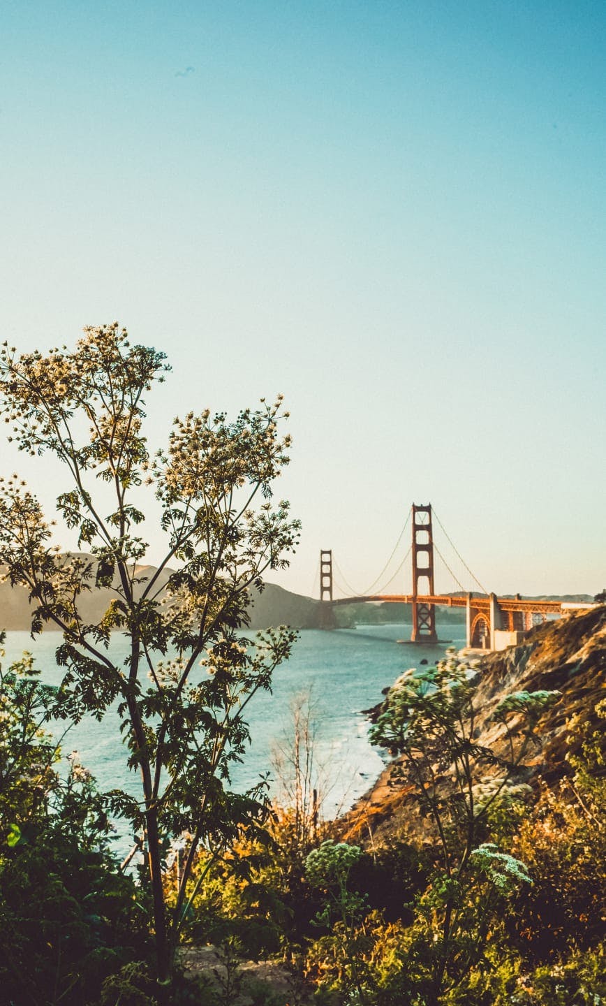 wide image of the golden gate bridge