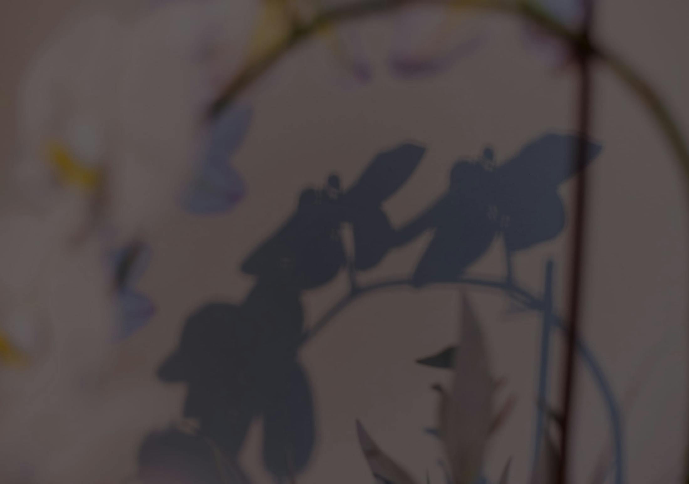 Background media