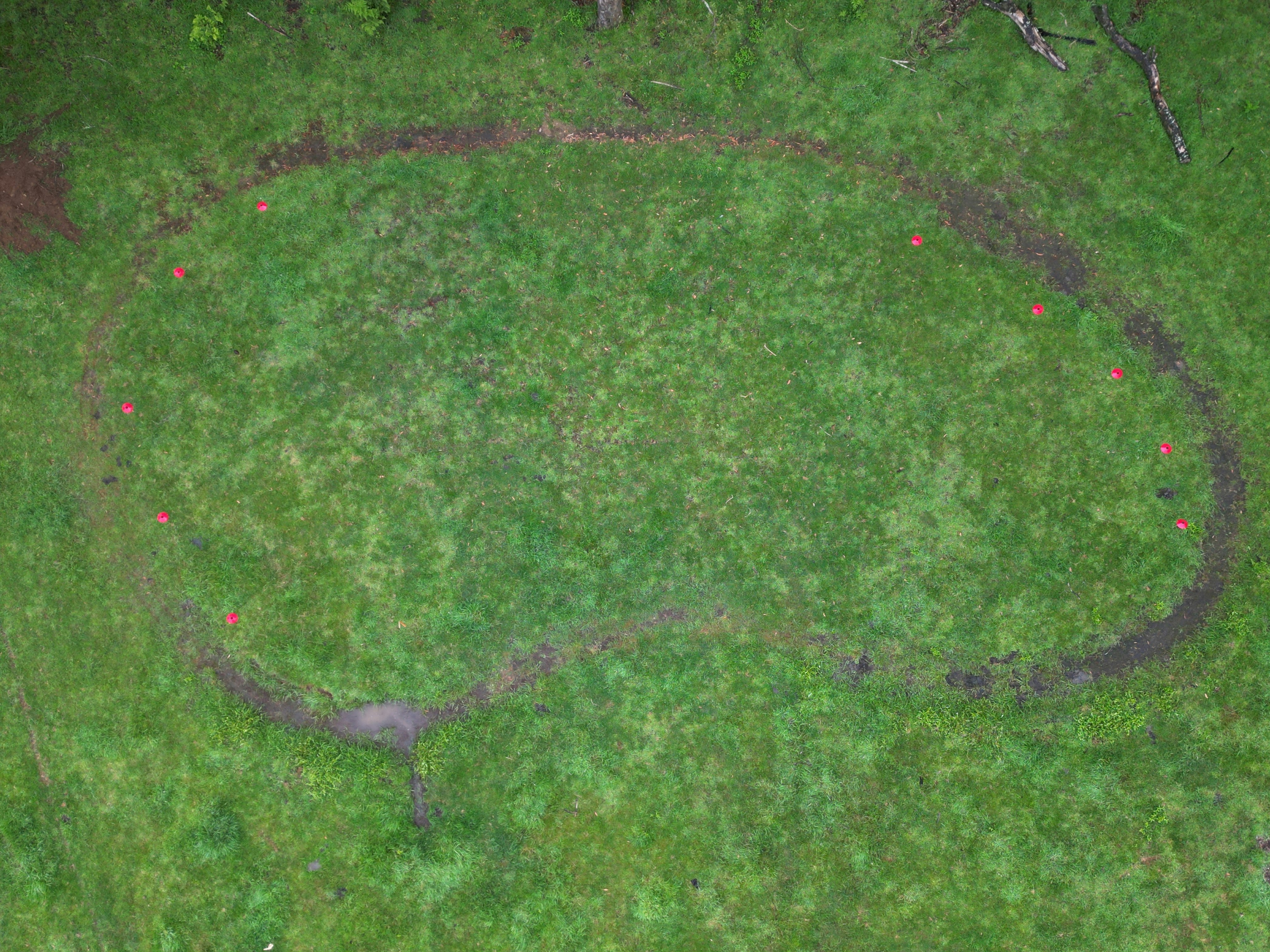 Birds eye view of Jelly Bean track