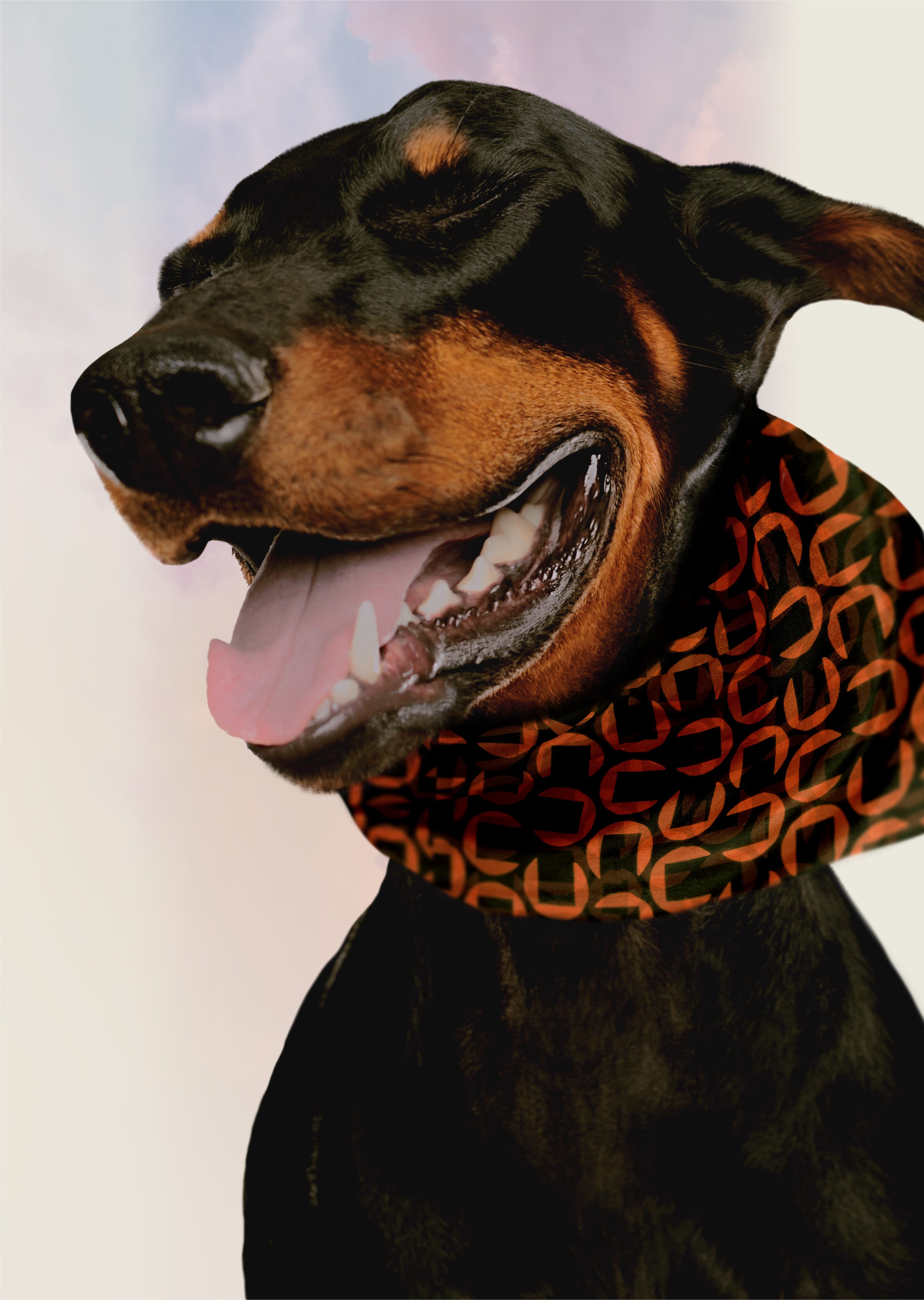 Barkers Neck Cloth