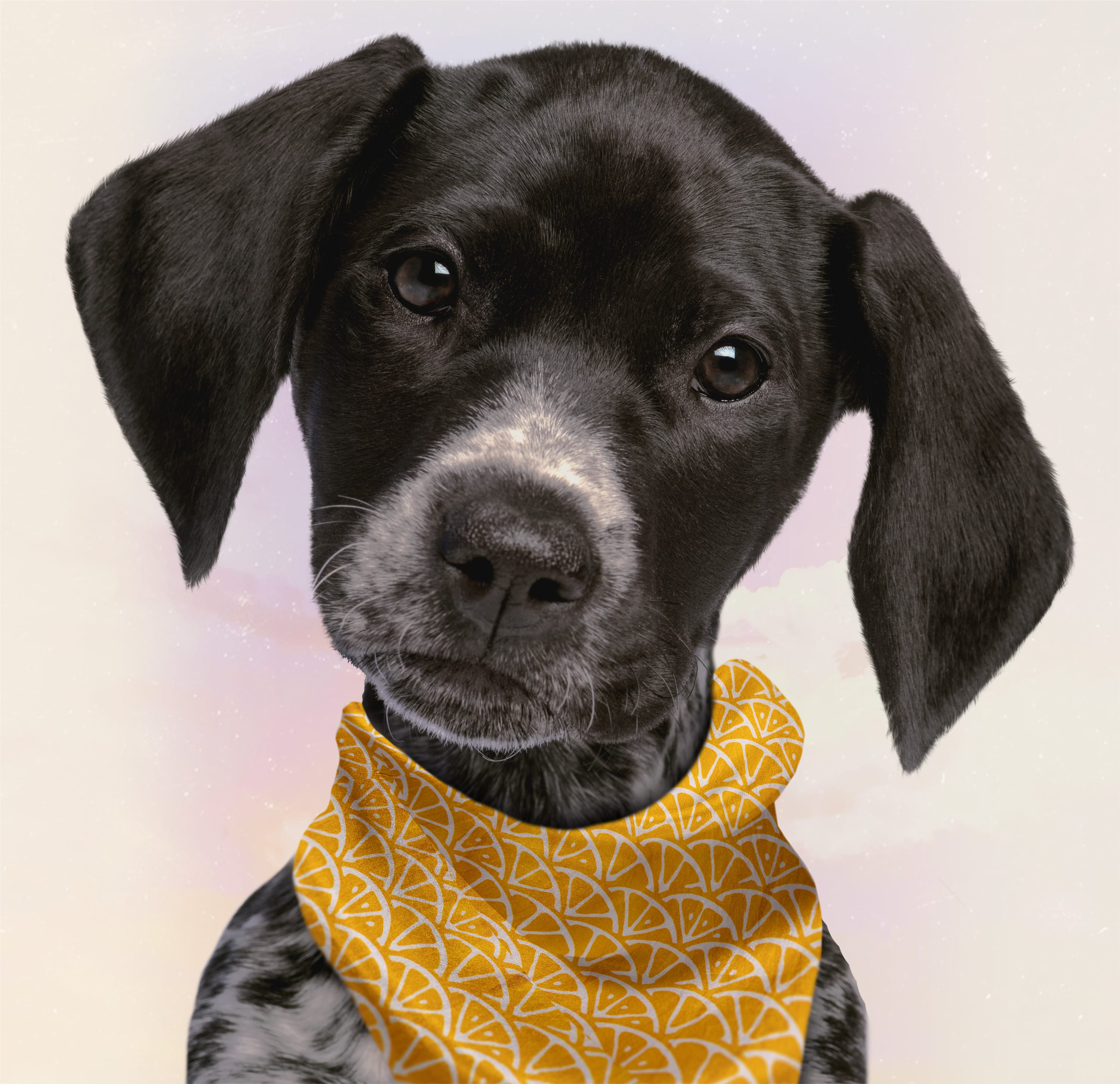 Barkers Neck Cloth