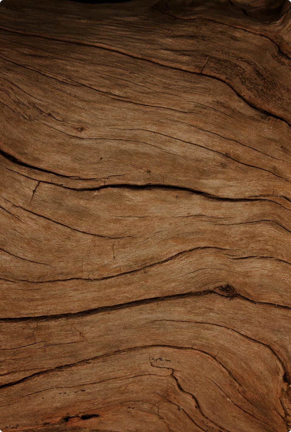 Close up of some wood