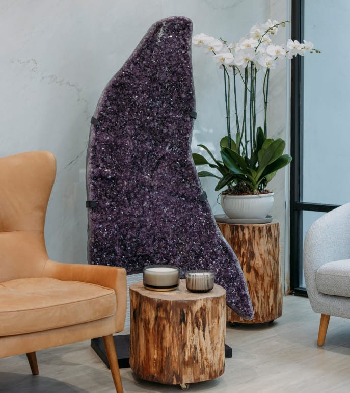 Waiting room decorations