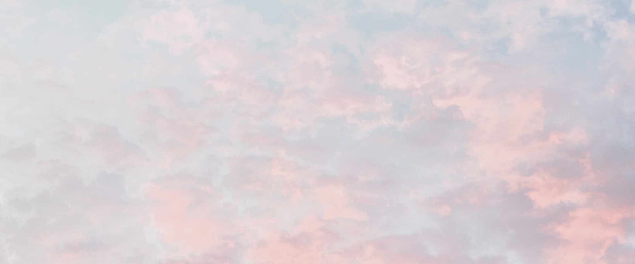 Banner media