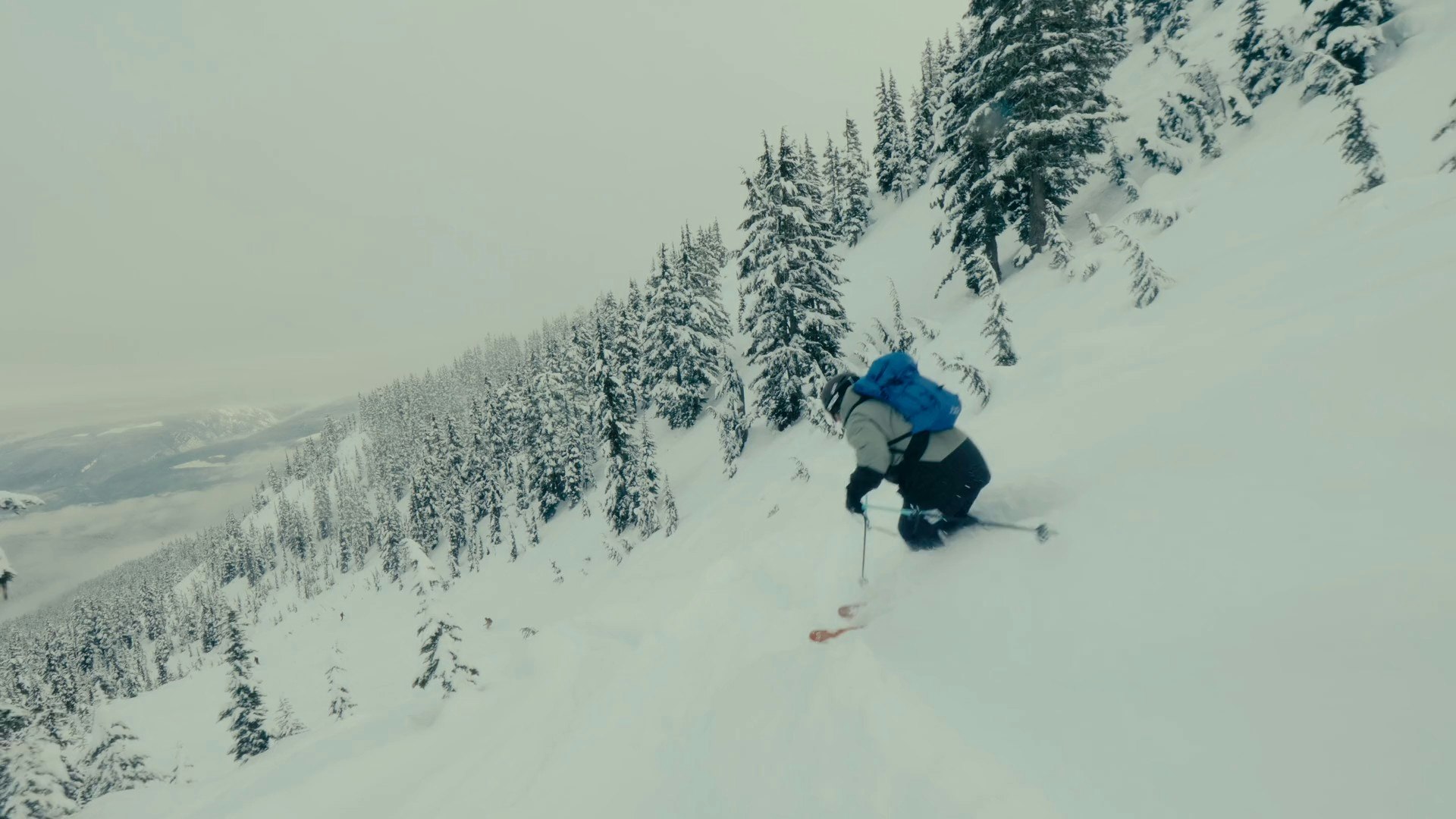 Northern BC Campaign