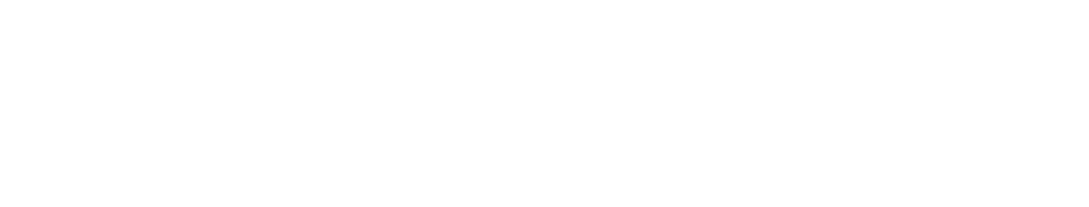 New York Sports & Joints Website Logo