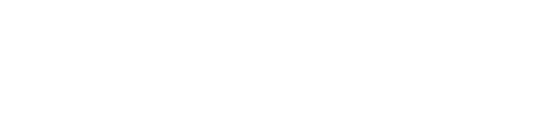 New York Sports & Joints Website Logo