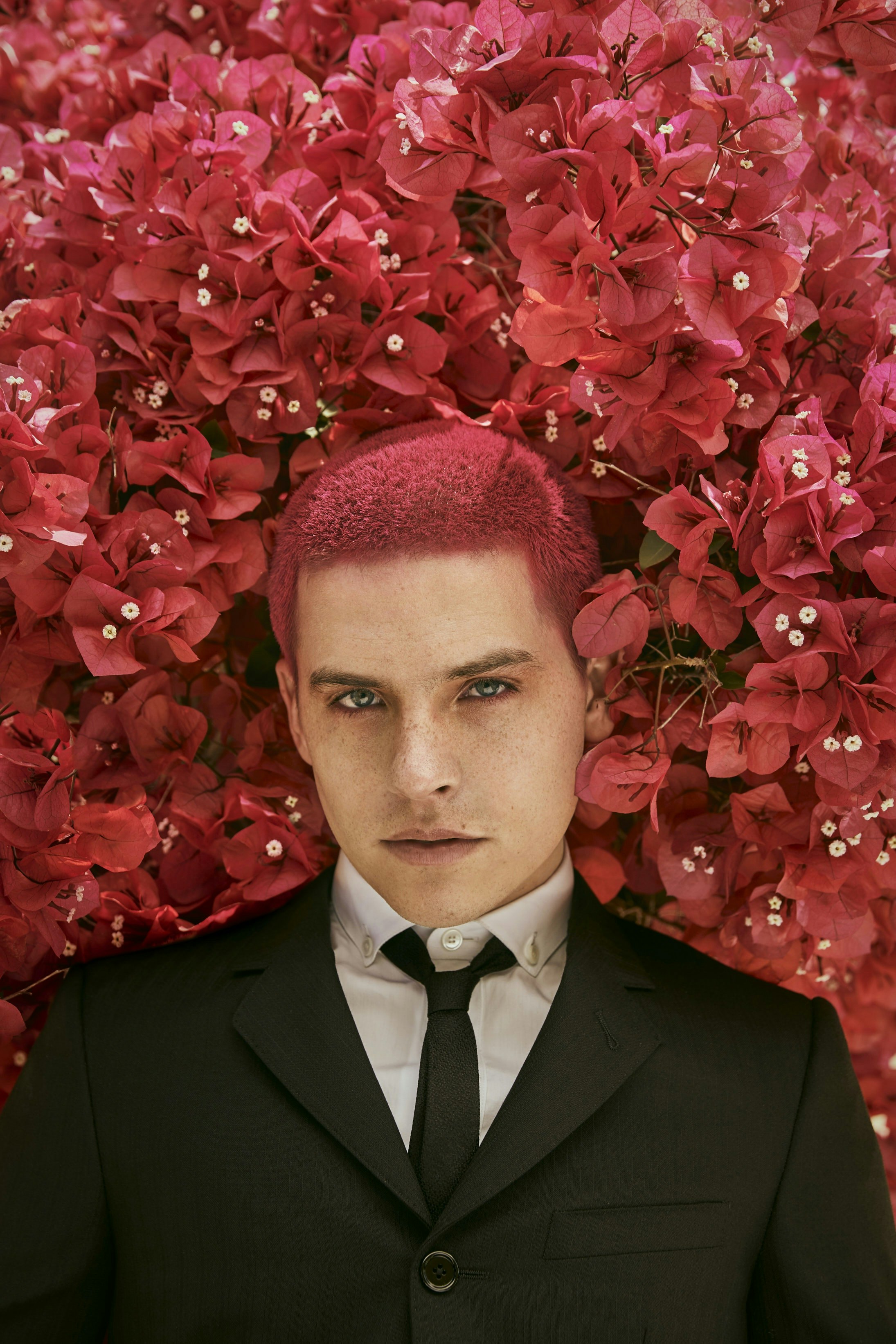 Boys by Girls Dylan Sprouse — Danielle Levitt