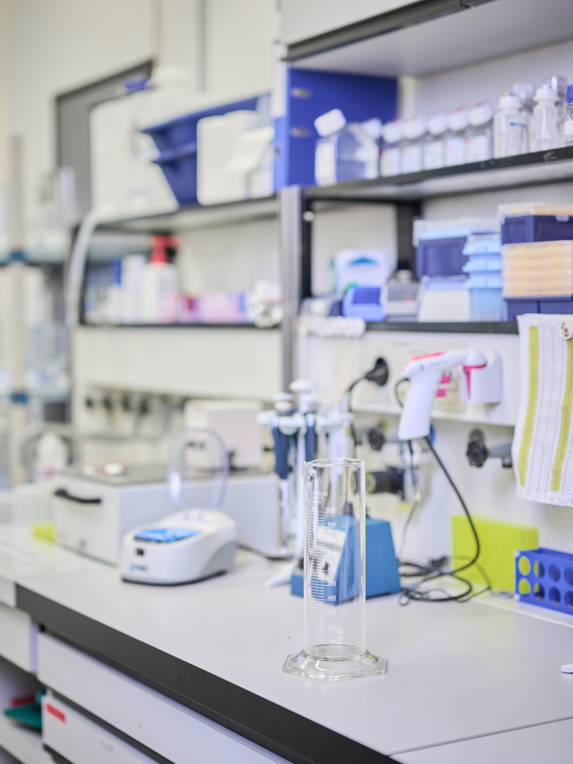 Placeholder image for a team member