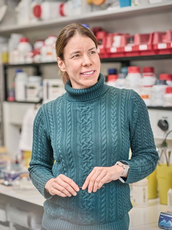 Dr. Anita Siebert