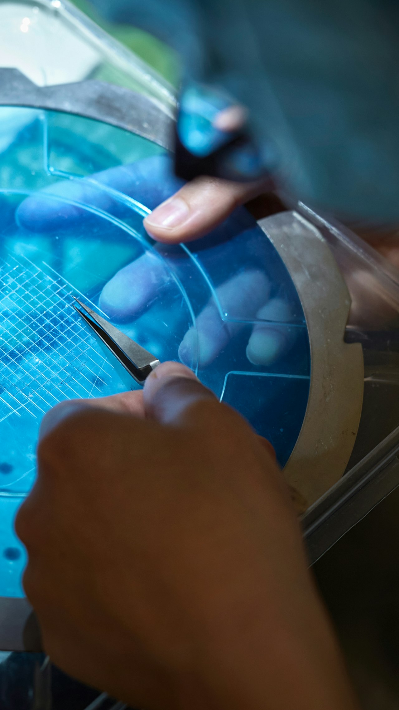 Brain Energy
Metabolism