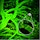 vasculature