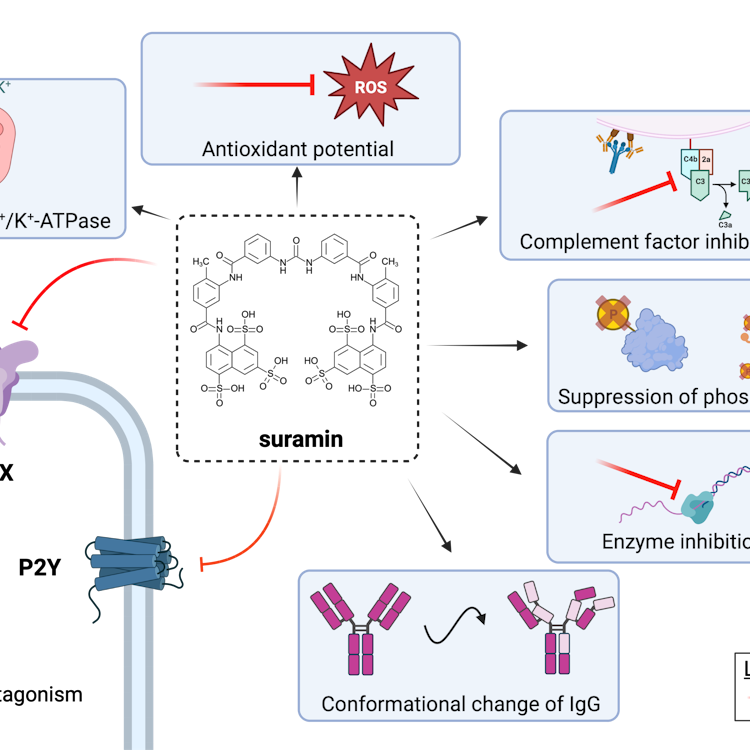 purinergic-inhibitors