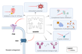 purinergic-inhibitors