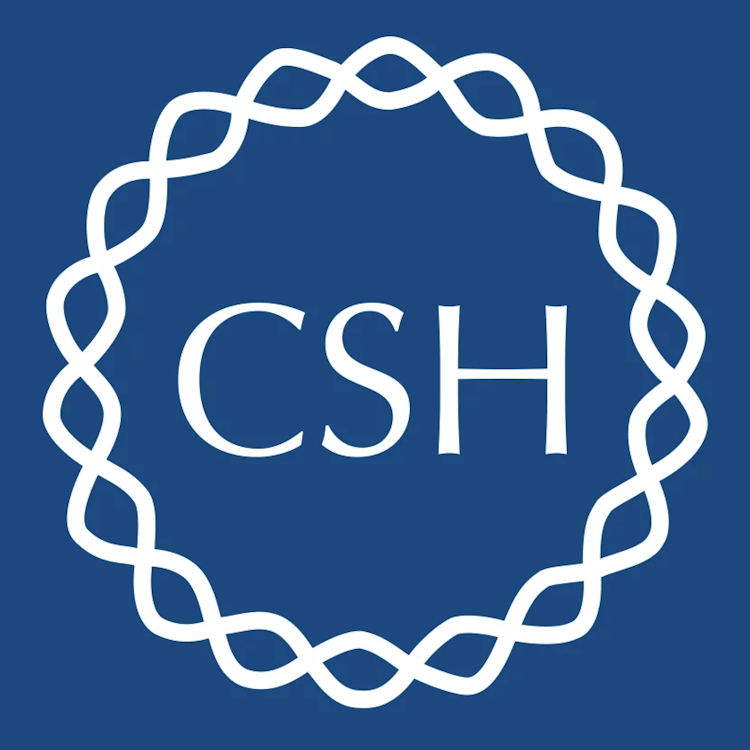 csh