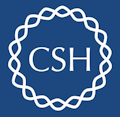 csh