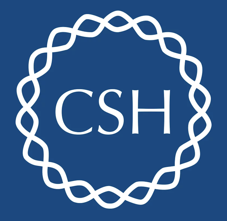 csh