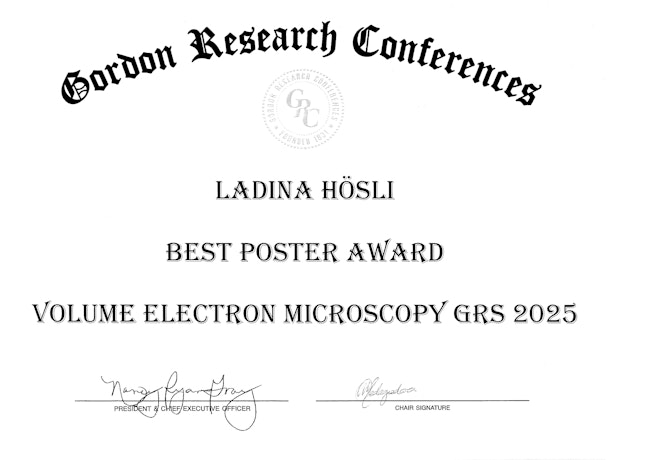 Gordon Research