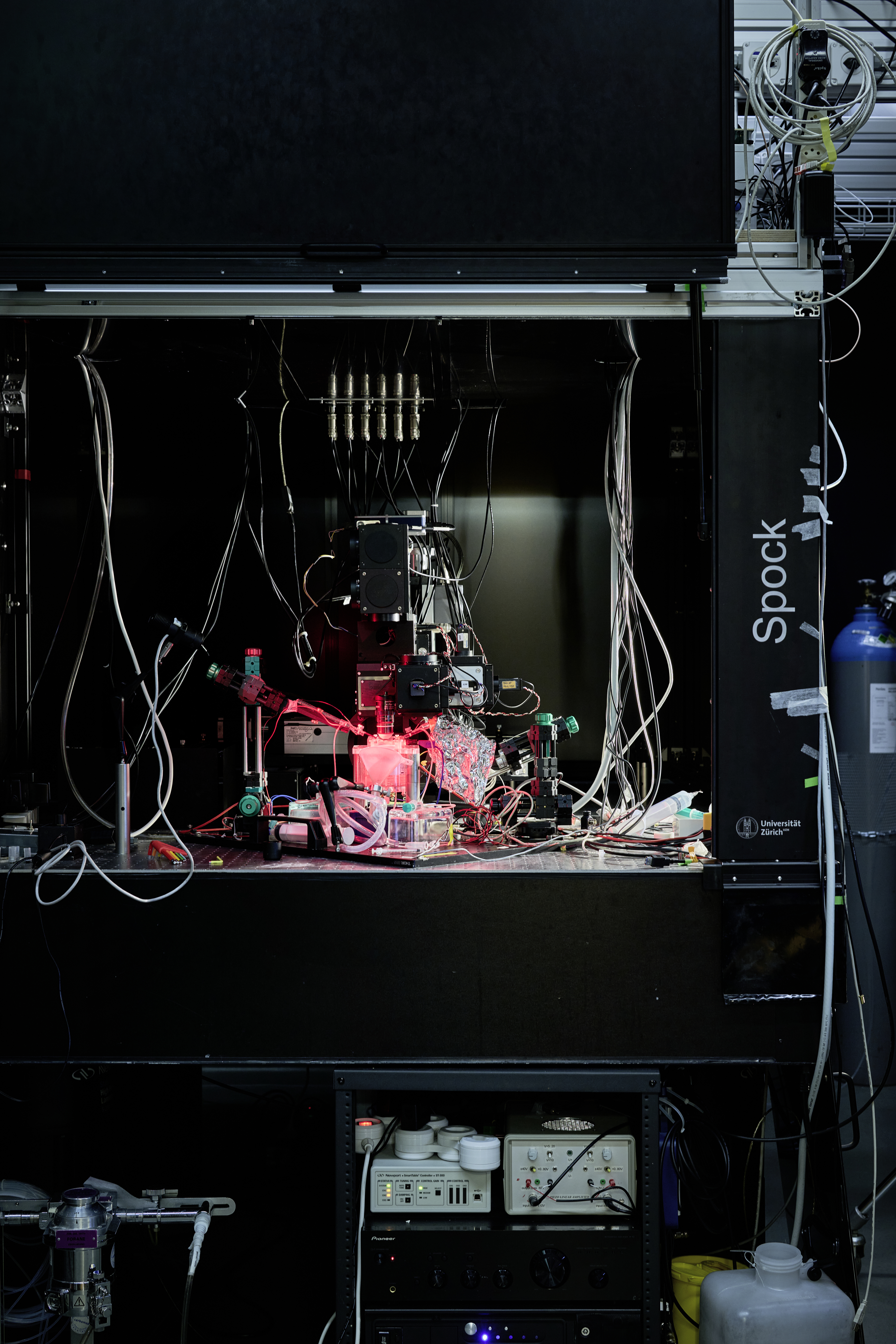 Manuel