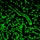 microvascular repair