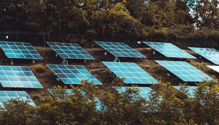 Array of solar panels