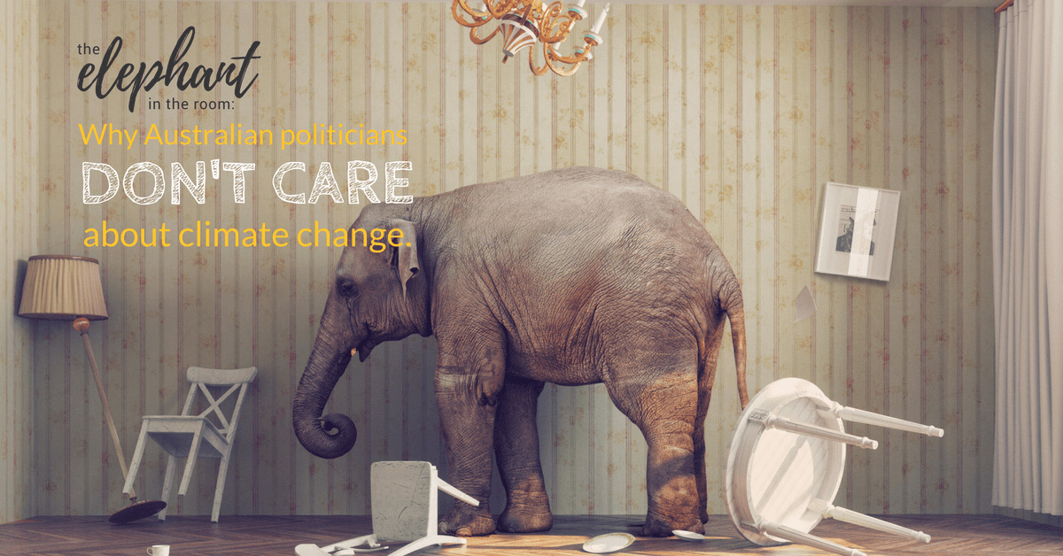 Image of an elephant in a room with furniture bumped over with caption &quot;The Elephant in the room - Why austrailian politicians don't care about climate change.&quot;