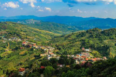 alt="Land restoration and localised planning will be crucial for drawing down greenhouse gas emissions. "