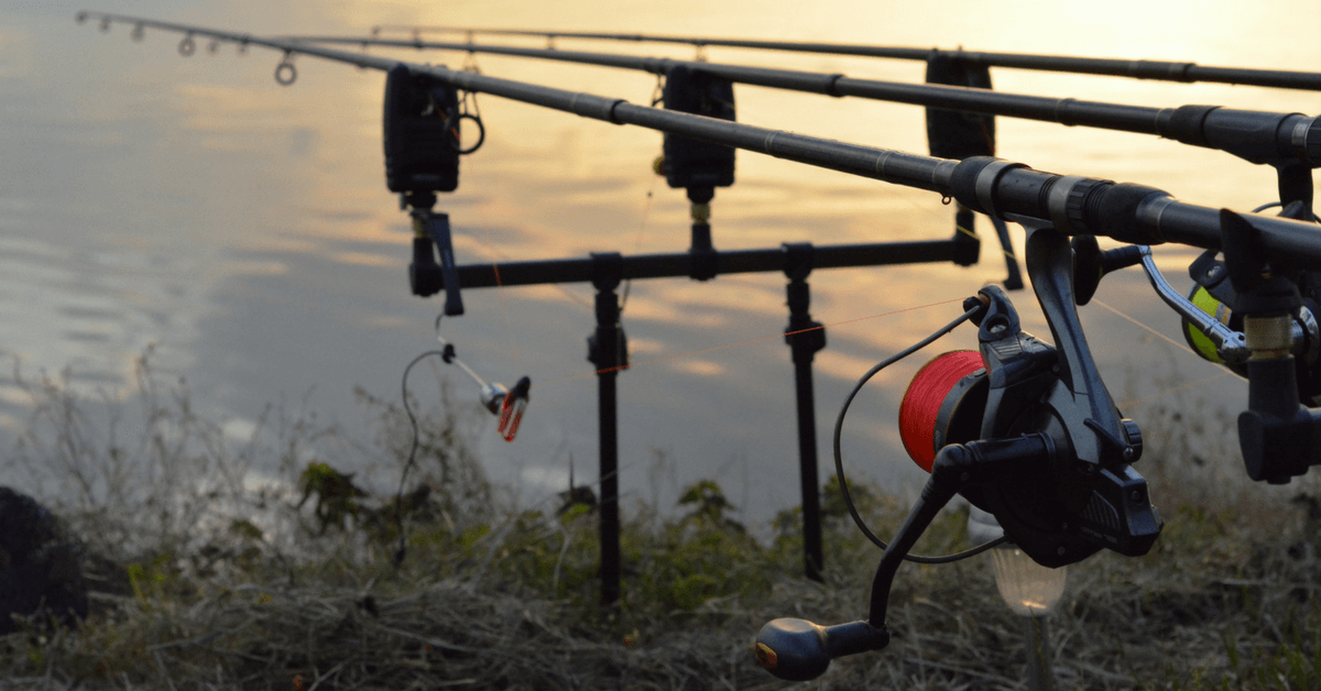 Queensland fell for Adani - hook line and sinker