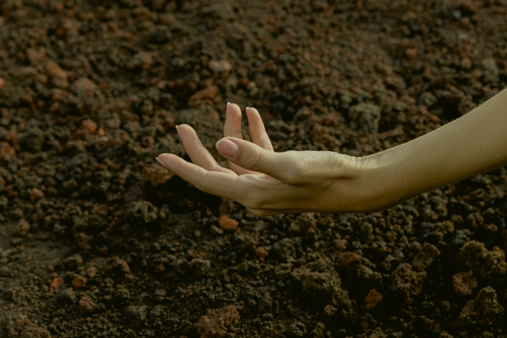 Person's hand touching soil