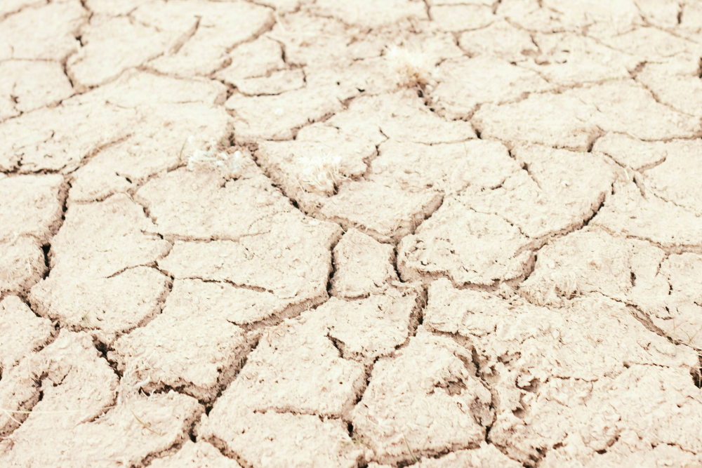 Drought heatwave