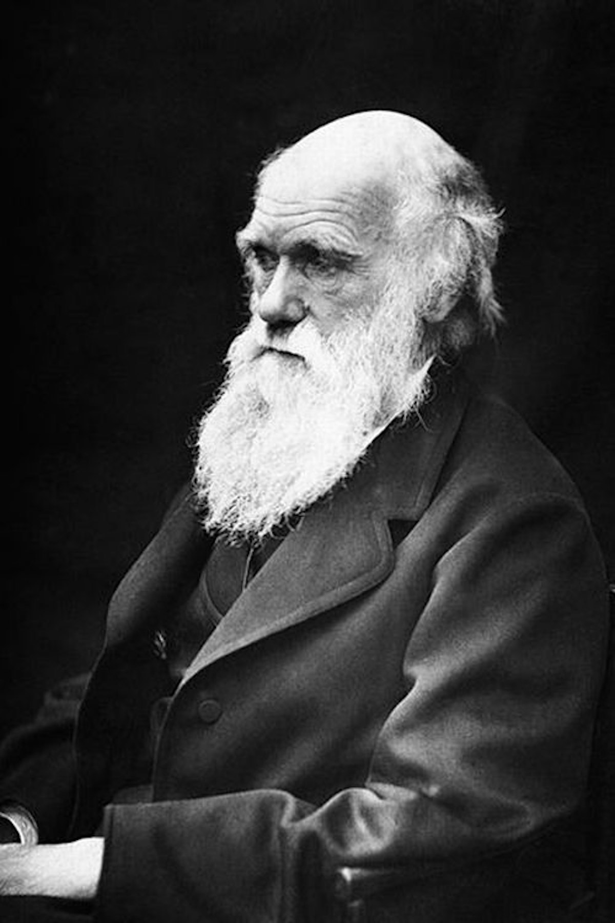 Biology idea 3: Evolution — Science Learning Hub