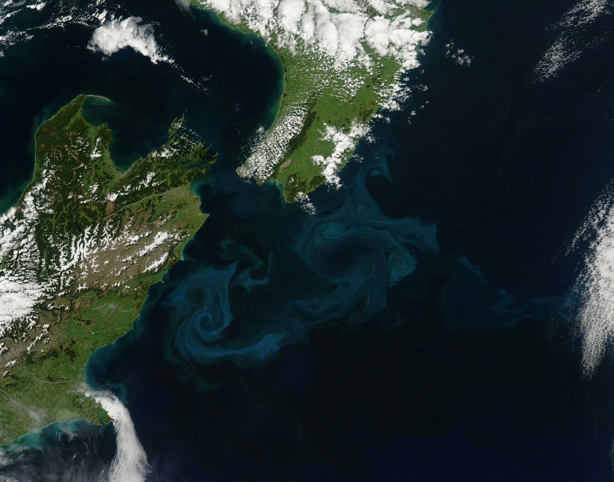 Human impacts on marine environments — Science Learning Hub