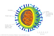 Virus Cell Labeled Diagram Virus Cell Labeled Diagram