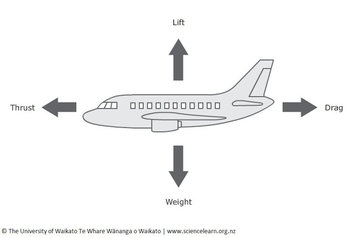 Forces affecting flight — Science Learning Hub