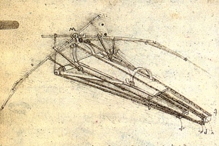 Leonardo da Vinci's flying machine — Science Learning Hub