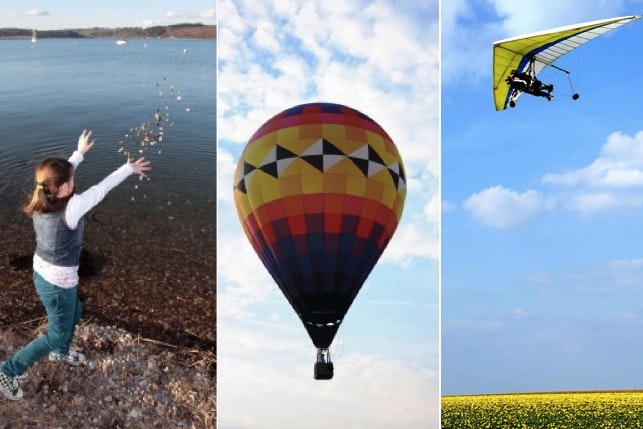 What flies? — Science Learning Hub