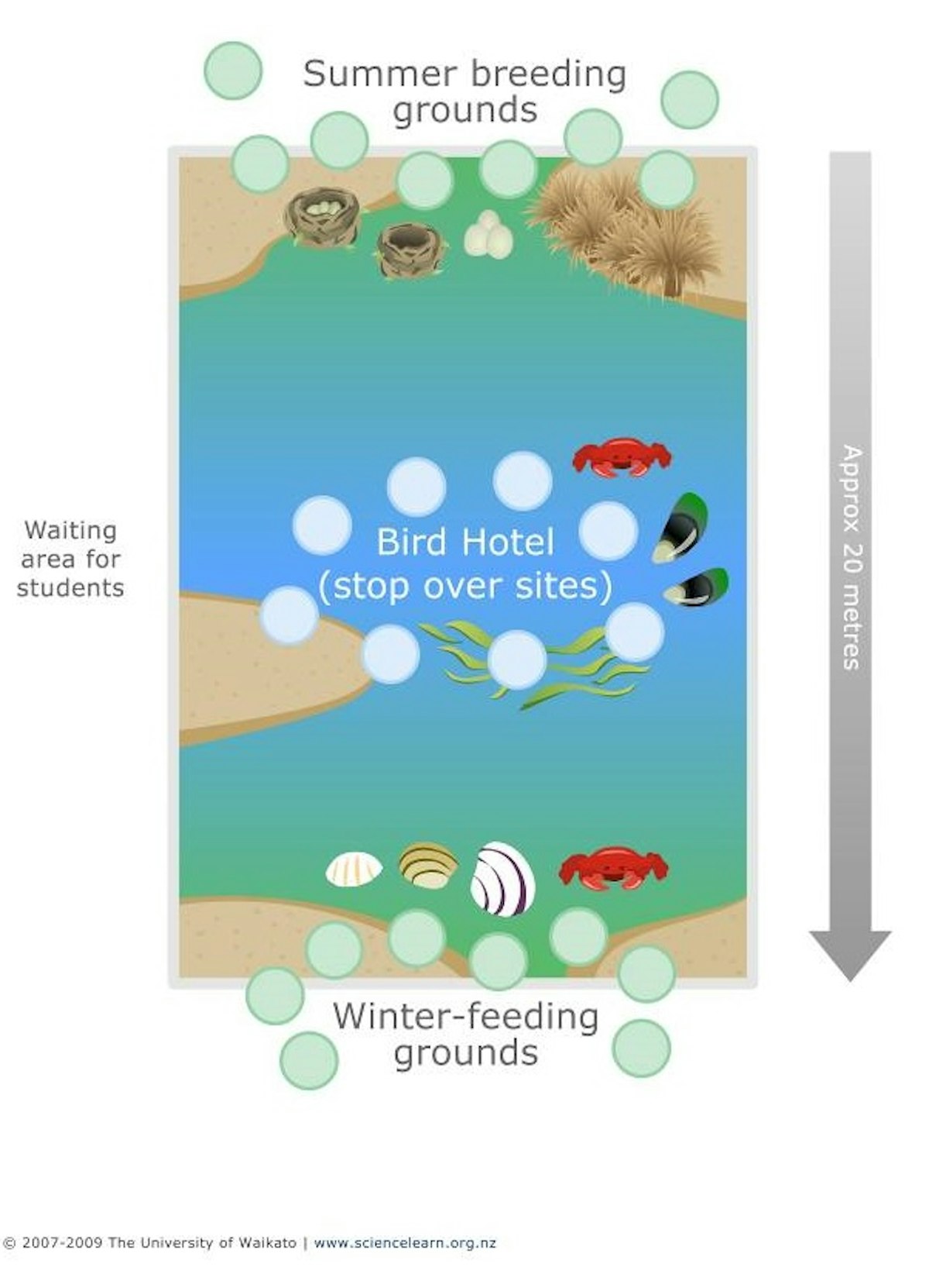Bird hotel — Science Learning Hub