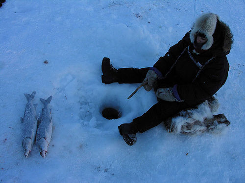 Inuit Clean Inuit Fishing Inuit Community Leads Arctic Shift To Clean Energy: