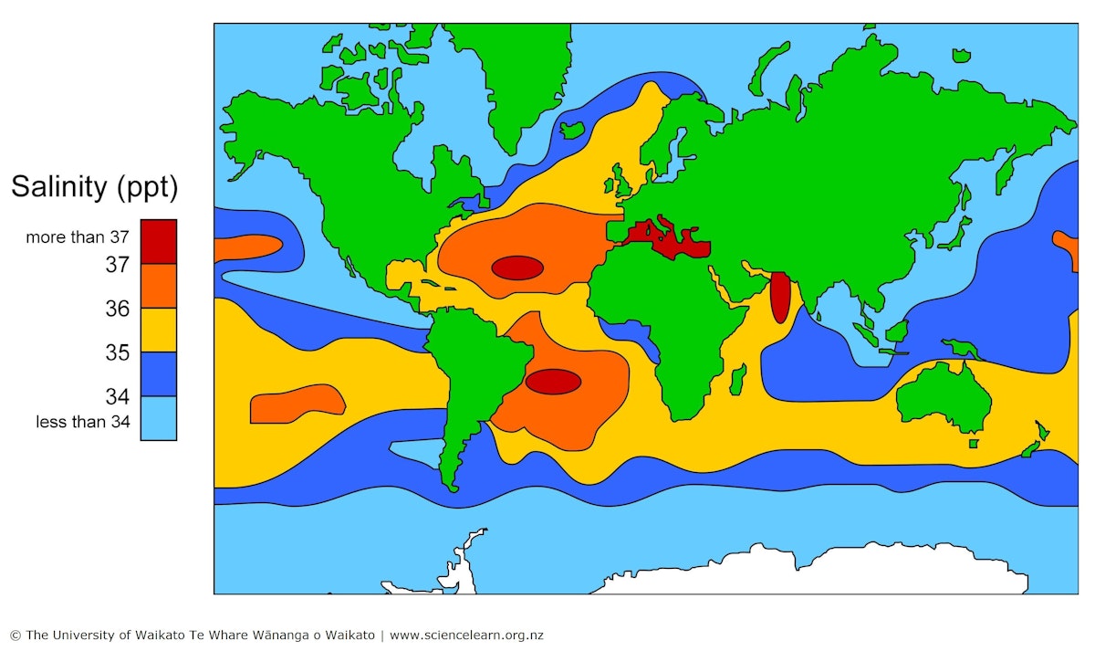 www.sciencelearn.org.nz