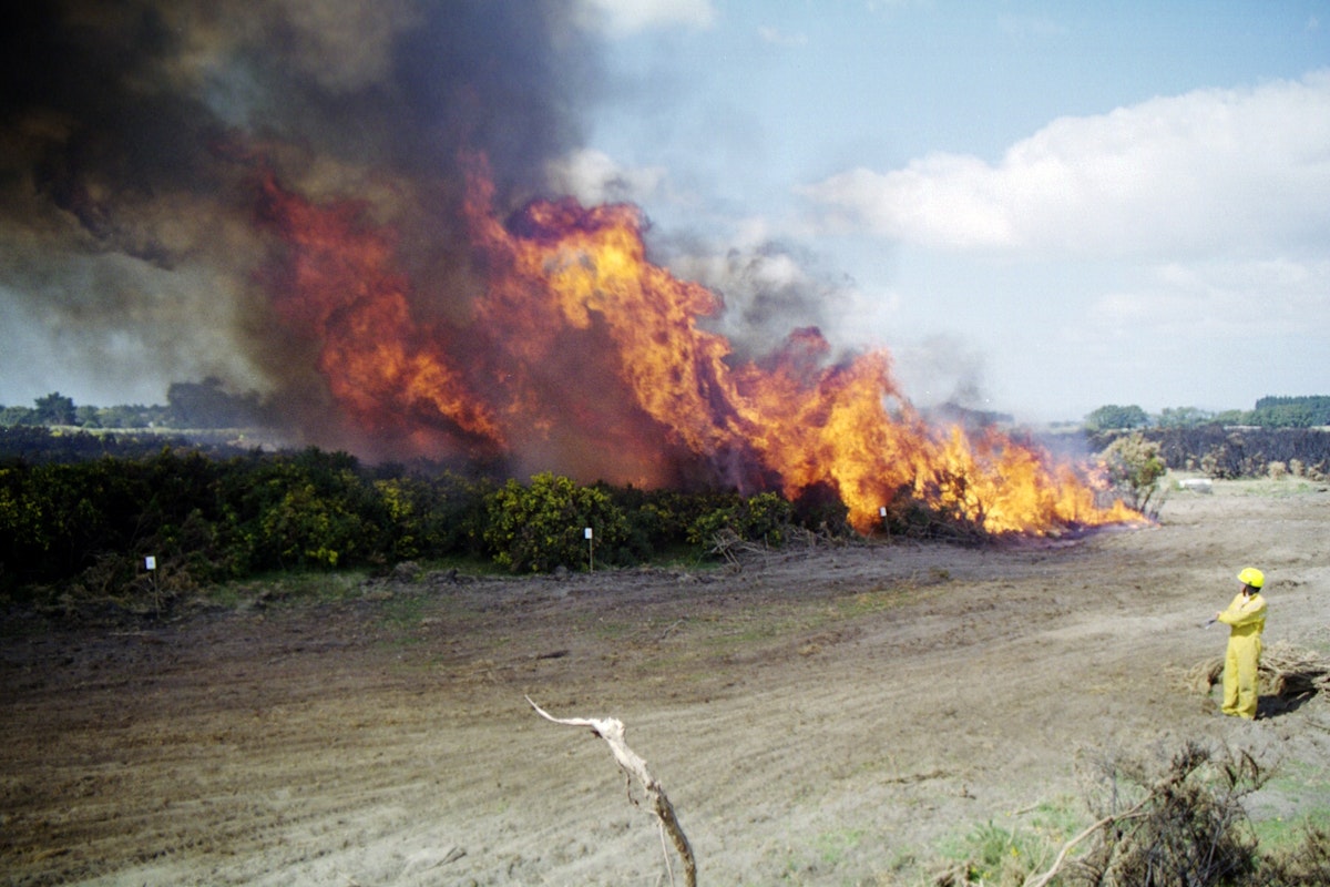 Fire Overview What is fire? — Science Learning Hub