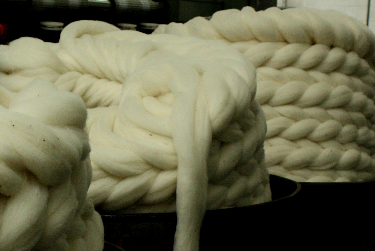 Wool Fool Wool innovations – introduction — Science Learning Hub